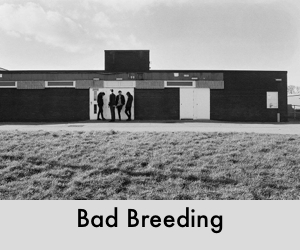 Bad Breeding